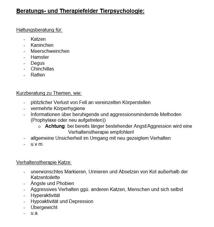 Beratungsfelder